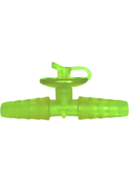 Çam Ucu - 50 Adet
