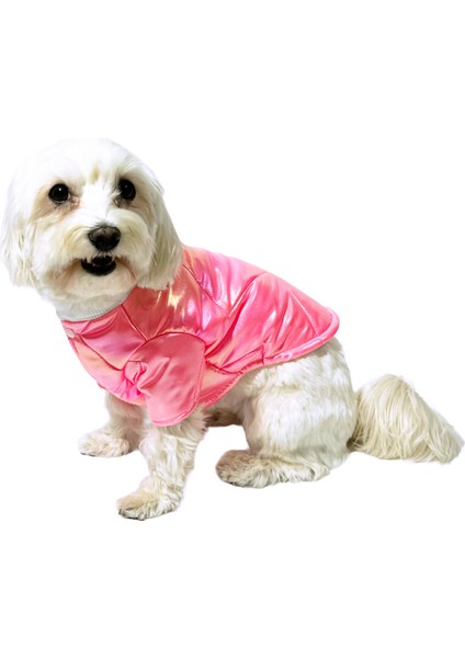 Nobledog Mor Parlak Köpek Montu