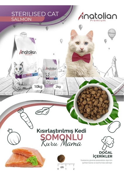 Anatolian Premium Sterilised Salmon Somonlu Kısırlaştırılmış Kedi Maması 2 kg