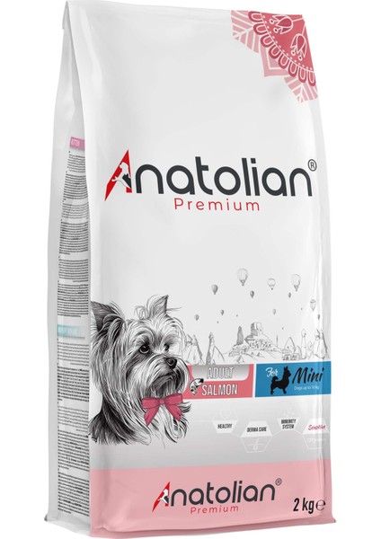 Premium Mini Adult Salmon Somonlu Yetişkin Küçük Irk Köpek Maması 2 kg