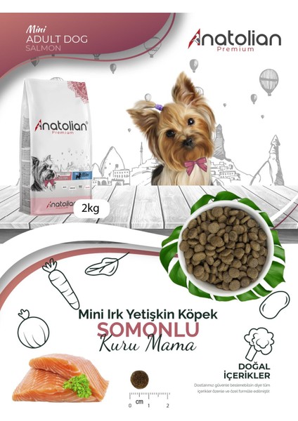 Premium Mini Adult Salmon Somonlu Yetişkin Küçük Irk Köpek Maması 2 kg