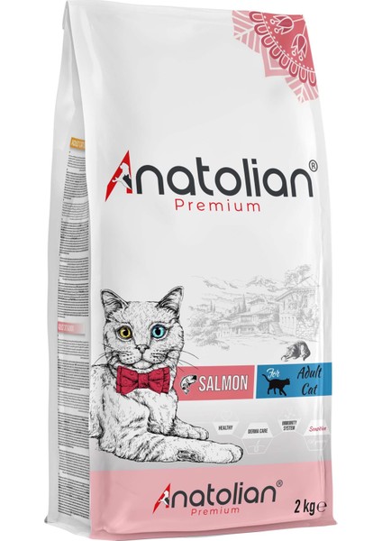 Premium Adult Salmon Somonlu Yetişkin Kedi Maması 2 kg