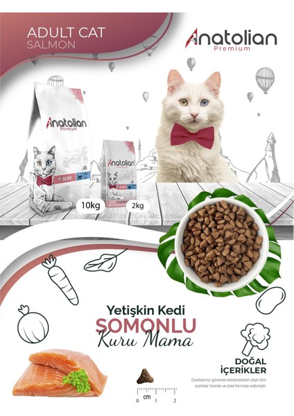 Premium Adult Salmon Somonlu Yetişkin Kedi Maması 2 kg