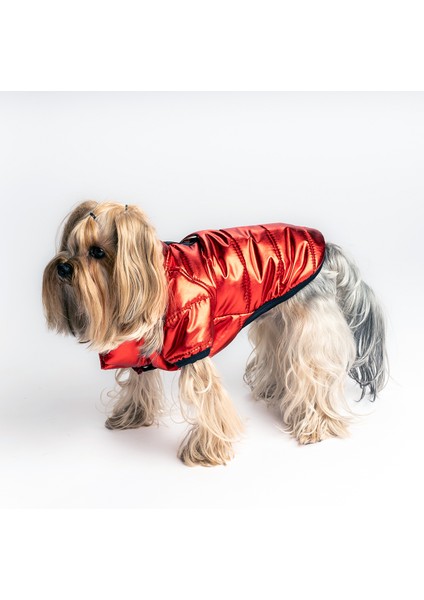 Pet Mont 57 Waterproof Köpek Kedi Kıyafeti