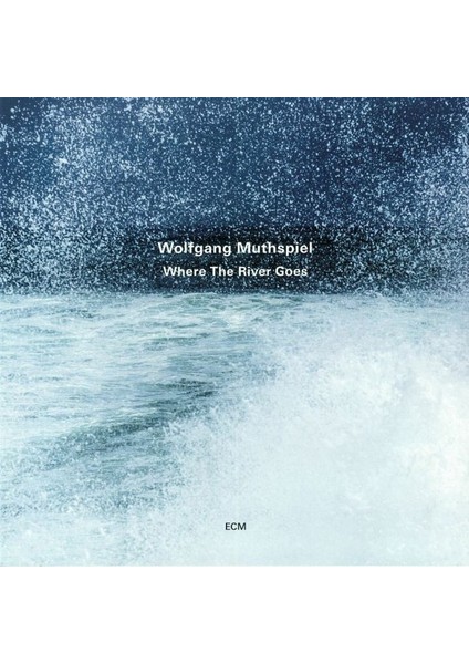 Where the River Goes Plak - Wolfgang Muthspiel