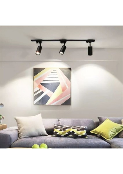 6500 Kelvin, Beyaz Işık 30 Watt, Birinci Sınıf Siyah Kasa Ray Spot, Modern Ultra Kaliteli Ray Spot fiyatları