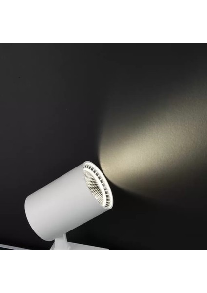 4000 Kelvin, 30 Watt Birinci Sınıf Beyaz Kasa Ray Spot, 2700 Lümen Modern Ultra Kaliteli Ray Spot modelleri