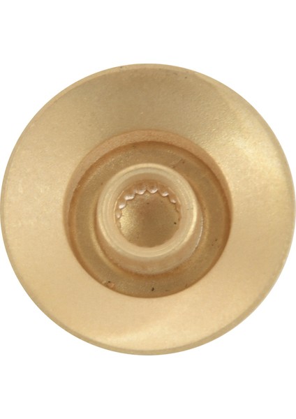 Gibson Için Les Paul Altın Folyo Düğmesi Için Altın Silindir Şapka Topuzu Seti (Yurt Dışından)