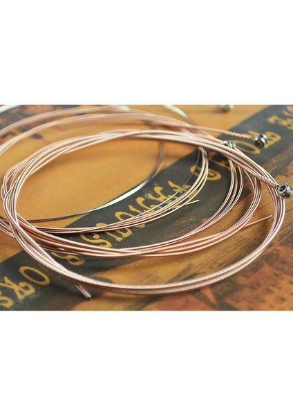 Alice A206SL Akustik Gitar Dizeleri Dize Seti Paslanmaz Çelik Kaplamalı Fosfor Bronz Anti-Pas 1st-6th Gitar Dizeleri (Yurt Dışından)