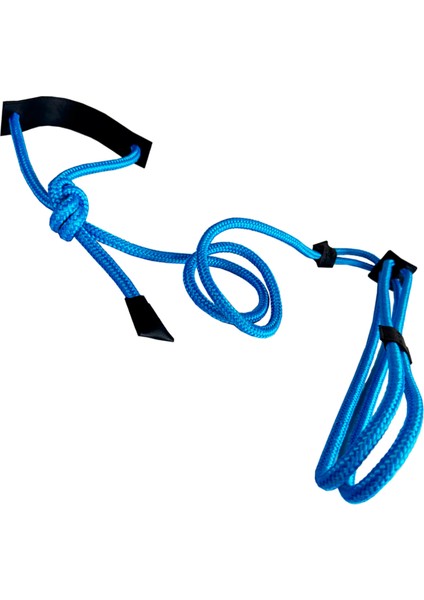 Köpek Göğüs Gövde Tasma ve Kayış Takımı