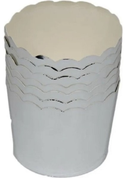 Gümüş Karton Kapsül 50 Li fiyatları