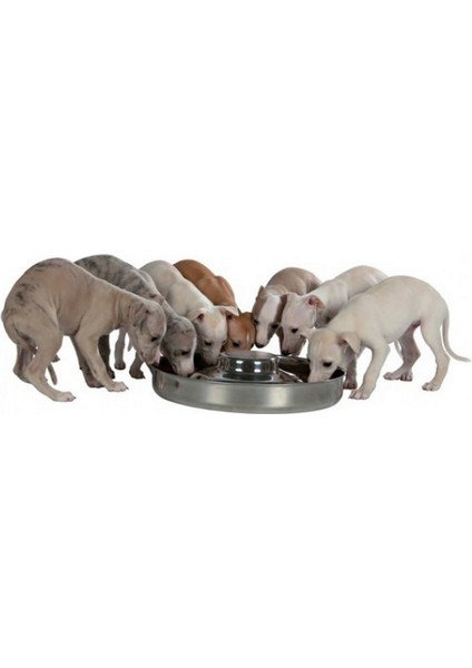 Yavru Köpek Mama ve Su Kabı 1,4lt 29CM 276097