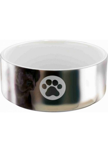 Köpek Seramik Mama ve Su Kabı 0,3lt 12CM 276097