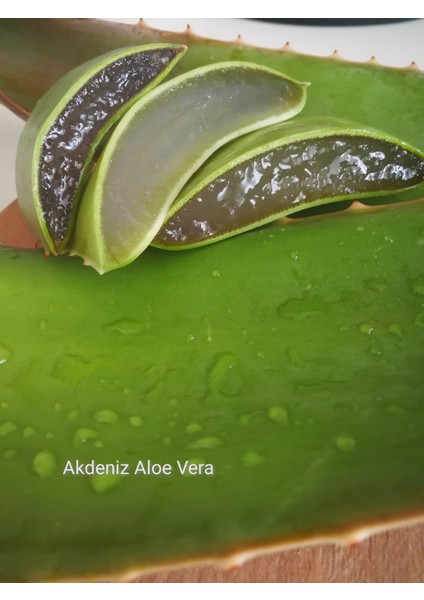 Akdeniz Aloe Vera Aloe Vera Yağı - 50 ml