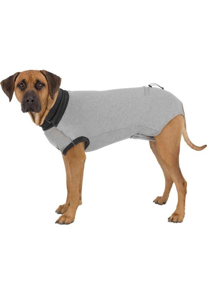 Köpekler Için Koruyucu Gövde Kıyafeti L-Xl 62CM Gri 276097