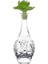 Yeşil Kapaklı Cam Şişe 35 cm 800 ml 1