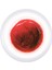 Paint Gel Glitter Red 5gr 1