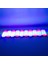 Powermaster 12 Volt 3.6 Watt Rgb Flaşlı Yanıp Sönen 2835 Mercekli Modül LED 18 LED 2