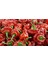 Hot Pepper Collector Scotch Bonnet Jamaıcan Red Pepper 350.000 Shu - 2 Adet Taze Biber 3