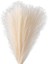 Sahte Pampas Otu, 18IN/45CM Yapay Pampas Otu 5 Kök Görkemli Çim Çiçek Aranjmanı (Bej) (Yurt Dışından) 1