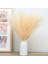 Sahte Pampas Otu, 18IN/45CM Yapay Pampas Otu 5 Kök Görkemli Çim Çiçek Aranjmanı (Bej) (Yurt Dışından) 4