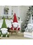 Ev Için Yüzü Olmayan Noel Baba Bebek Noel Gnome Peluş Figürinler Doğum Günü Hediyesi Için 3'lü Paket (Yurt Dışından) 1