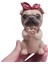 Yavru Köpek Gözlük Tutucu Standı Gözlük Tutucular Güneş Gözlüğü Ekran Sevimli Hediye (Pug) (Yurt Dışından) 3