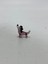 El Yapımı Mini Murano Cam Köpek Biblo A155-01 3