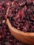Hibiskus 250 gr 1