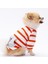 Turuncu Çizgili Teddy Ayıcık Bear Kedi- Köpek Sweatshirt Kedi Köpek Kıyafeti Köpek Giysisi 1