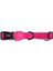 Zee Dog Pink LED Boyun Tasması - Zee.dog 1