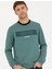 Pierre Cardin Erkek Yeşil Regular Fit Sweatshirt 50279532-VR054 3