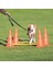 Köpek Agility Oyuncağı 2 Adet 30 x 50 cm  100 cm 2