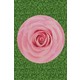  Renk Pembe