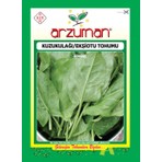 Arzuman 5 gr Kuzukulağı Ekşiot Tohumu Yüksek Verim Özelliği ile Çok Yıllık Bitki