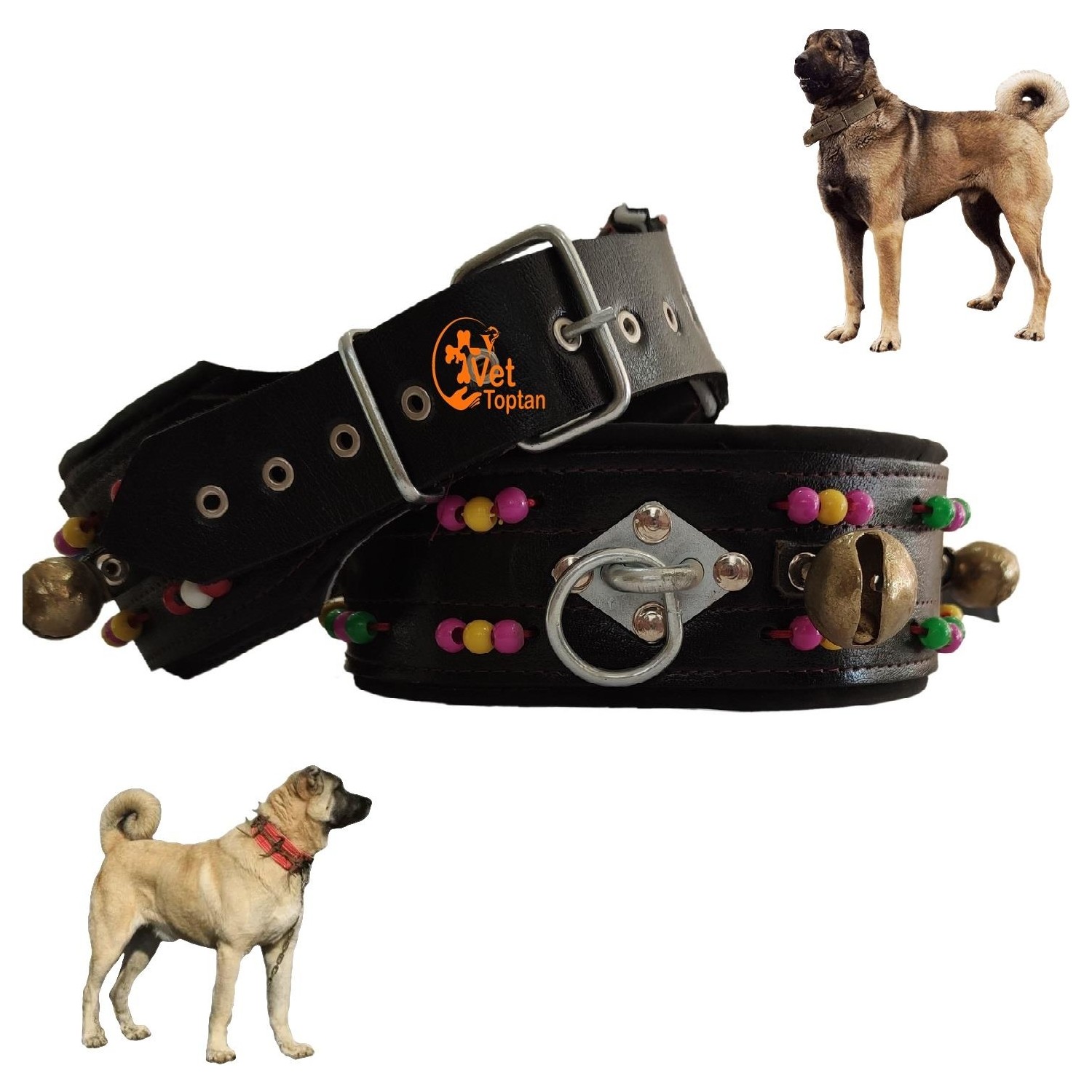 Mutlu Tavukculuk Kangal Malakli Zilli Tasma Boncuklu Ici Fiyati Mutlu Tavukculuk Kangal Malakli Zilli Tasma Boncuklu Ici Fiyati