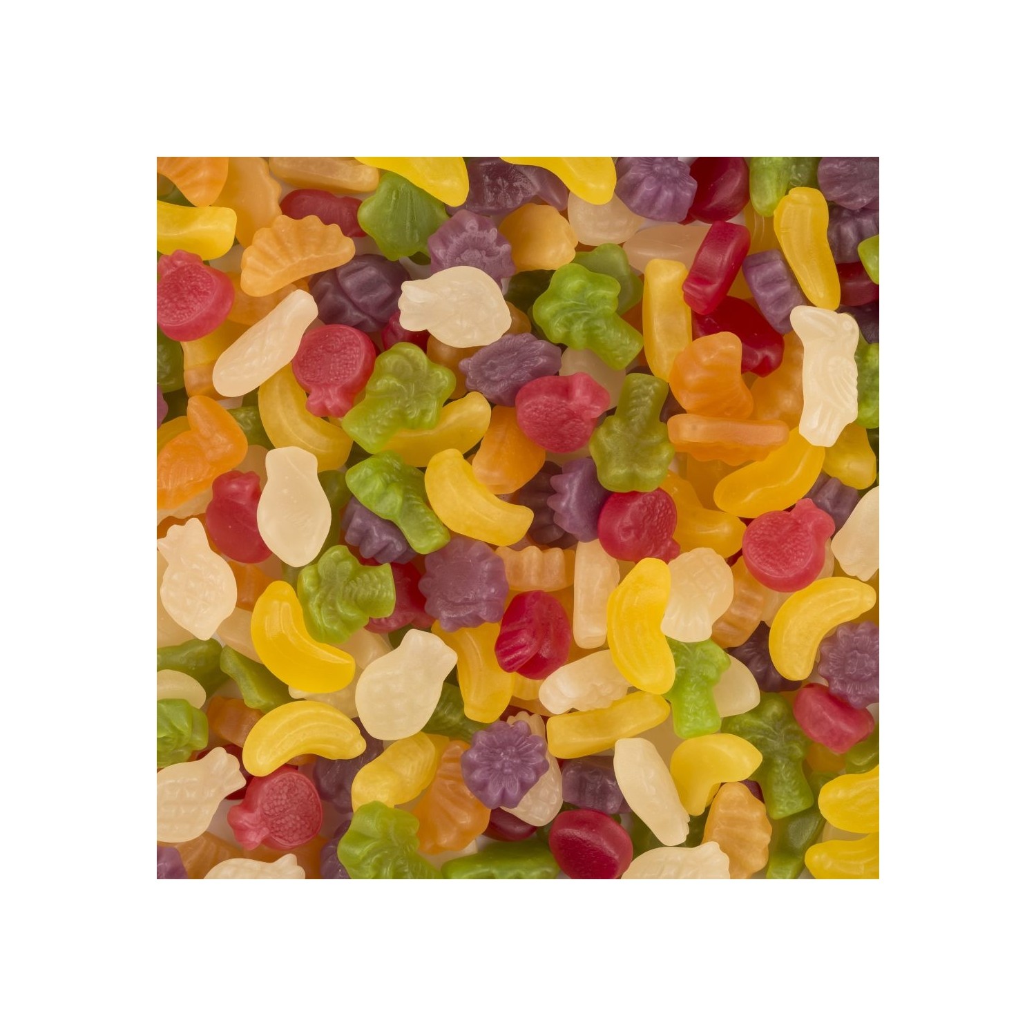 Haribo Tropifrutti Kg Fiyat Taksit Se Enekleri Ile Sat N Al