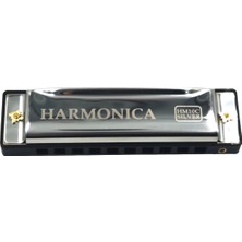 Hermann Mayer HM10C Silver Harmonica - Domajör Mızıka