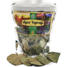 Yöresel Bahçem Ayva Yaprağı 25GR
