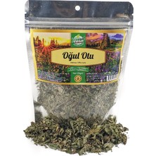 Yöresel Bahçem Oğul Otu 20GR