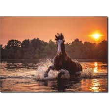 La Vita E Bella At ve Gün Batımı Temalı Kanvas Tablo AT-1002