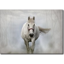 La Vita E Bella Dörtnala Koşan Beyaz At Kanvas Tablo AT-1012