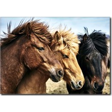 La Vita E Bella Rüzgarda Savrulan Atlar Kanvas Tablo AT-1013