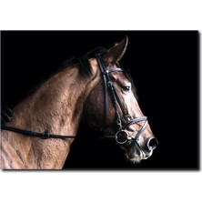 La Vita E Bella At Portre Kanvas Tablo AT-1022