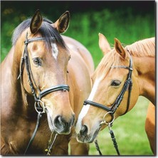 La Vita E Bella Doğa ve Atlar Kanvas Tablo AT-1027