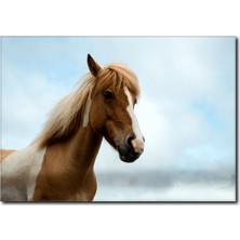 La Vita E Bella Doğa ve At Kanvas Tablo AT-1031