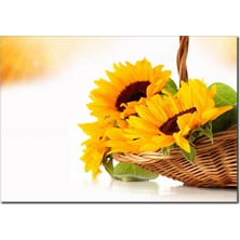 La Vita E Bella Sepette Ayçiçeği Kanvas Tablo DC-1006