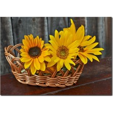 La Vita E Bella Sepette Günebakan Kanvas Tablo DC-1010