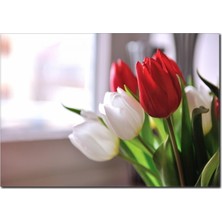 La Vita E Bella Lale Temalı Kanvas Tablo DC-1019