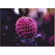 La Vita E Bella Fuşya Çiçek Temalı Kanvas Tablo DC-1037